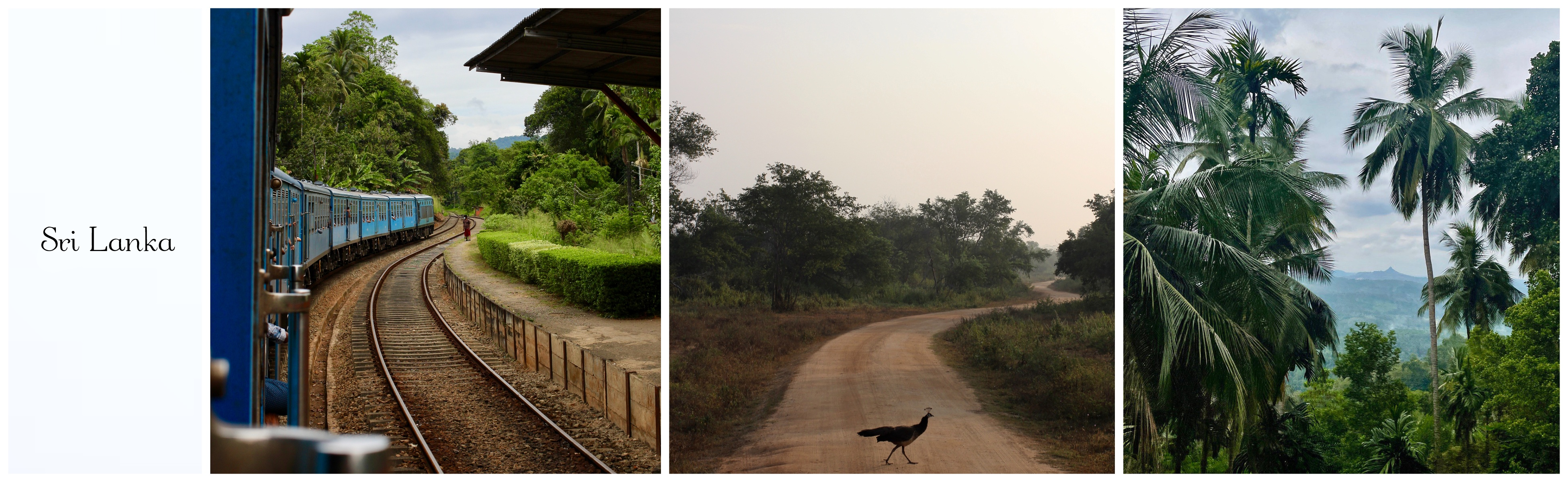 SriLanka_photos